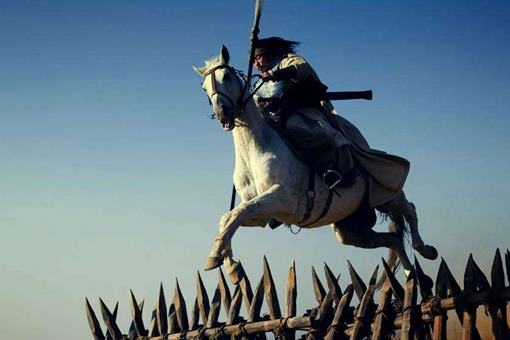 匹夫之勇什么意思?匹夫之勇典故出处介绍 匹夫之勇什么意思?匹夫之勇典故出处介绍