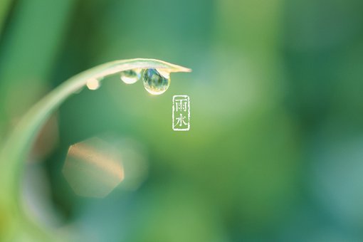 节气雨水是什么意思?雨水应该注意什么问题? 节气雨水是什么意思?雨水应该注意什么问题?