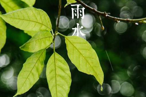 节气雨水是什么意思?雨水应该注意什么问题? 节气雨水是什么意思?雨水应该注意什么问题?