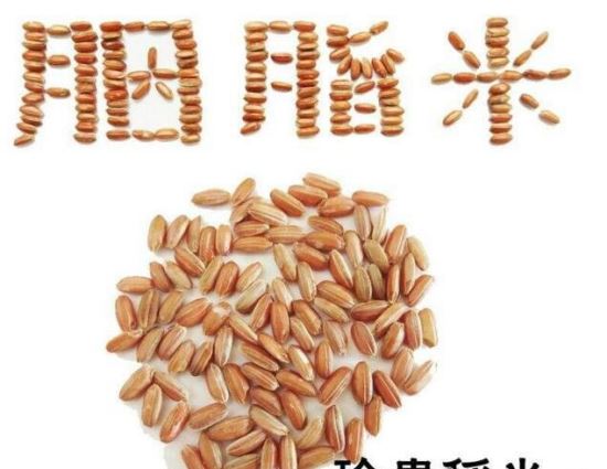 粳米是什么米 是大米的一种(米粒呈椭圆比较圆润)