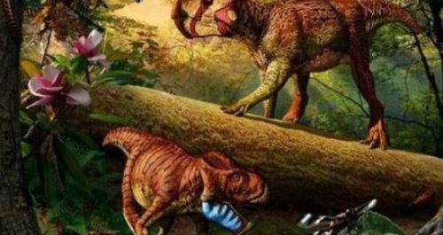 世界上最弱的十大恐龙 第一名仅有几十厘米（战斗力弱）
