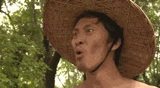 职业法师刘海柱表情包 职业法师刘海柱这一梗的来源
