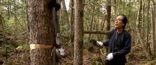 全球十大最恐怖的地方 墨西哥娃娃岛和法国巴黎地下墓穴