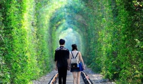 世界上最美的隧道 乌克兰爱的隧道成为情侣约会圣地