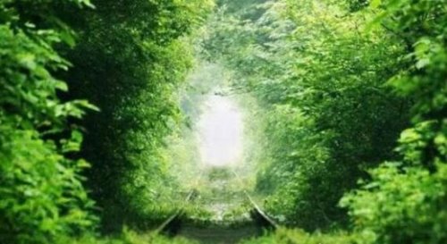 世界上最美的隧道 乌克兰爱的隧道成为情侣约会圣地