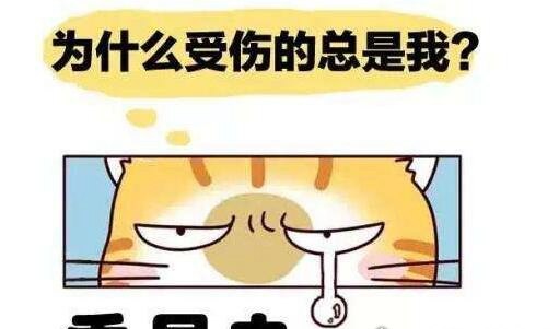 踢猫效应 就是指对弱于自己的人和五发脾气(传染坏脾气)