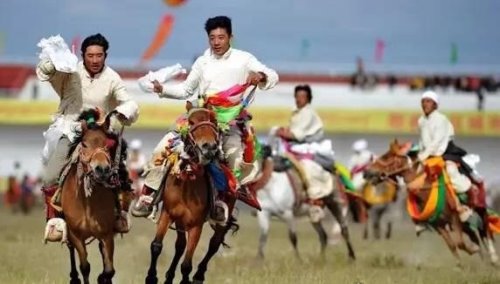 中国最大的草原是羌塘草原 60万平方公里(呼伦贝尔的6倍)