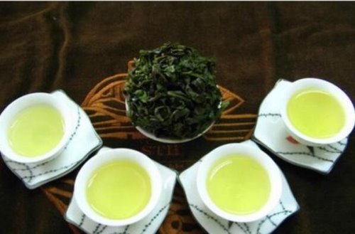 铁观音属于什么茶系 其实并不是绿茶(而是乌龙茶)