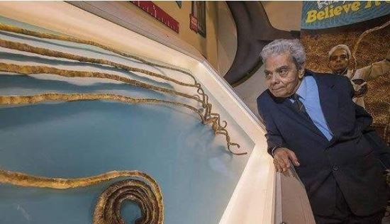 世界上指甲最长的人 印度男子指甲长达909.6厘米(62年未剪)