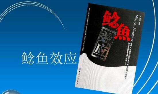 鲶鱼效应是什么意思 制造敌人来带动活力