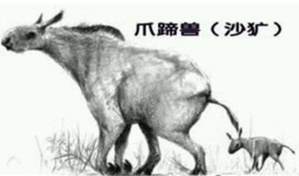 中国最可怕的原始森林 神农架(常传出有野人和史前动物出没)
