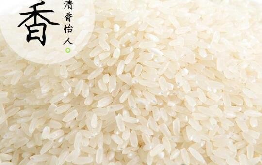 中国最贵大米排行榜 中国前10名大米排名(最贵8400元/斤)