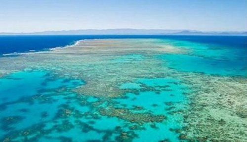 世界上最大的海盘点 珊瑚海排名第1(总面积堪比半个中国)