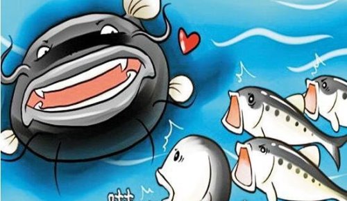 鲶鱼效应是什么意思 制造敌人来带动活力