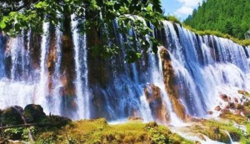 中国最宽的瀑布 九寨沟诺日朗瀑布(震后两年再开放比震前更壮观)