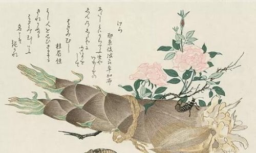 夏虫不可语冰下一句是什么 笃于时也(关于这句话的原文和解释)