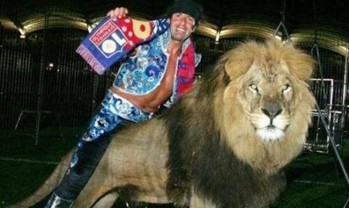 世界上最大的狮子 纯种巴巴里狮子已被人类灭绝