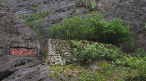 世界上最贵的茶叶 母树大红袍每公斤都能拍出上千万的高价
