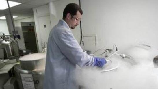世界上最大的精子银行 cryos精子库每天60个优质捐精者