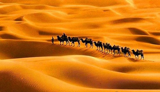 中国最大的沙漠排名 第一为塔克拉玛干沙漠(33.76万平方千米)