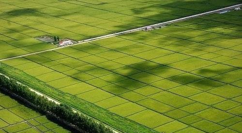 中国最大的平原 东北平原面积35万平方千米(面积相当于云南省)