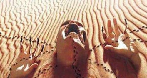 世界七大危险地区 印尼爪哇谷洞排名第一(地形复杂)