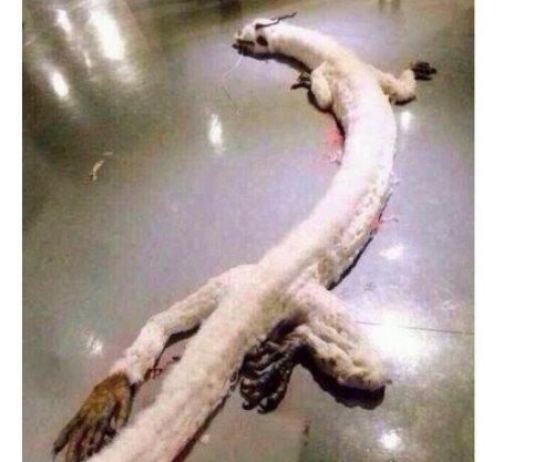 世界上有人拍到龙王 有网友自曝在青海湖上亲眼看到了龙王