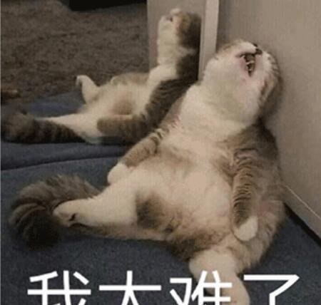 我太难了表情包大全 giao哥引领表情包新潮流(麻将也加入其中)