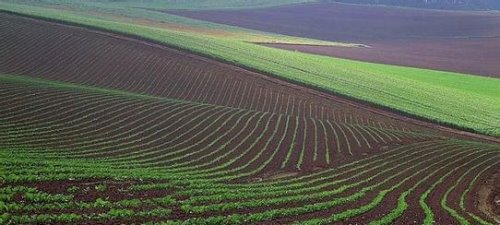 中国最大的平原 东北平原面积35万平方千米(面积相当于云南省)