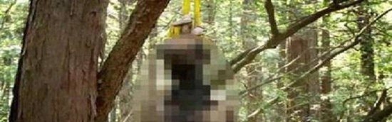 全球十大最恐怖的地方 墨西哥娃娃岛和法国巴黎地下墓穴
