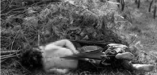 韩国华城连环杀人案终于破了 但已过公诉期不再追究法律责任