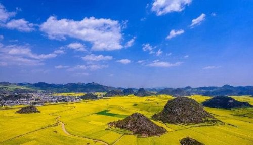 中国最大的油菜花田 占地20万亩的罗平油菜花田宛如仙境