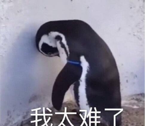 我太难了表情包大全 giao哥引领表情包新潮流(麻将也加入其中)