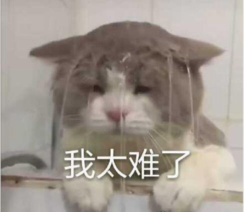 我太难了表情包大全 giao哥引领表情包新潮流(麻将也加入其中)