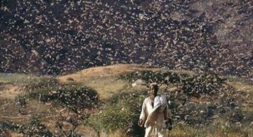 世界十大最严重的自然灾害 智利海啸天灾死200万人