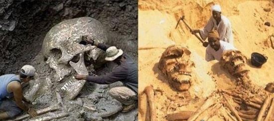 世界第一巨人竟高5米 一个头骨就比人大(谣言勿信)
