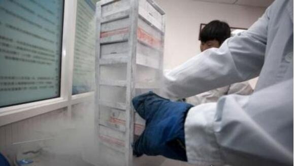 世界上最大的精子银行 cryos精子库每天60个优质捐精者