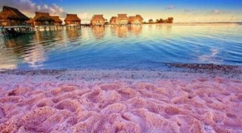 世界上最性感的海滩 粉色沙滩(一个让你少女心炸裂的地方)