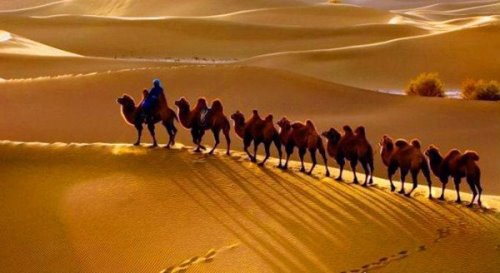 中国最大的沙漠排名 第一为塔克拉玛干沙漠(33.76万平方千米)