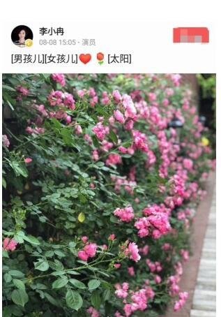 李小冉怀孕成事实 发文宣布怀上龙凤胎(曾还流产过)