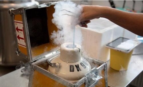 世界上最大的精子银行 cryos精子库每天60个优质捐精者