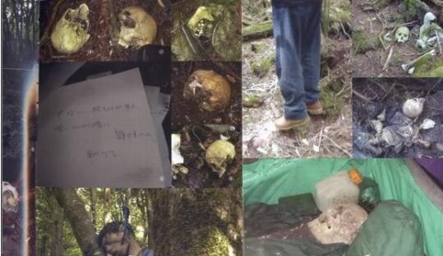 恐怖的日本自杀森林 青木原树海每年搜出百具尸骨