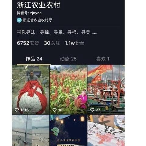 世界上最大的冬瓜 浙江农民种出447.8斤的超大冬瓜