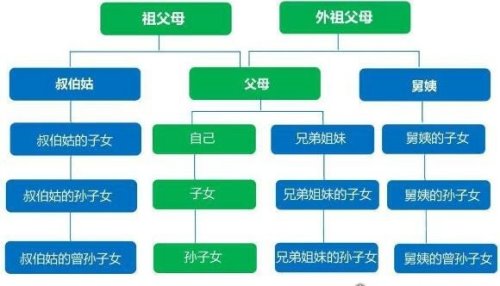 直系亲属包括哪些 配偶、父母、子女等(直接血缘或婚姻关系)