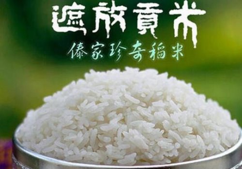 中国最贵大米排行榜 中国前10名大米排名(最贵8400元/斤)