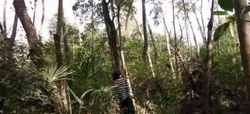五大世界上最恐怖的地方 巴黎地下墓穴有600百万亡灵