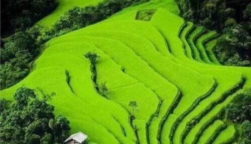 十句话穿透人心的经典语录 聪明是一种天赋而善良是一种选择