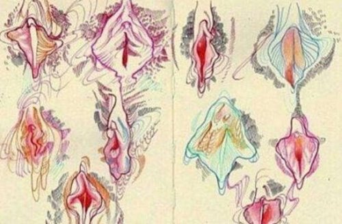 魏吉娜是什么意思 世界最强魏吉娜夹起30斤重物