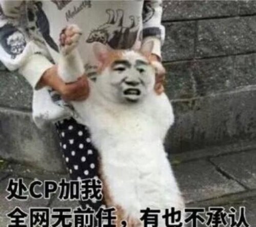 网友口中说的cpdd是什么意思 想和你"处对象"的意思