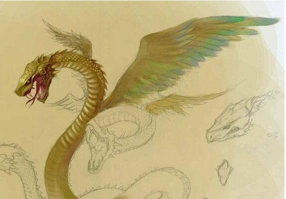 中国古代十大远古神兽 青龙/白虎/玄武/朱雀还被称为天之四灵